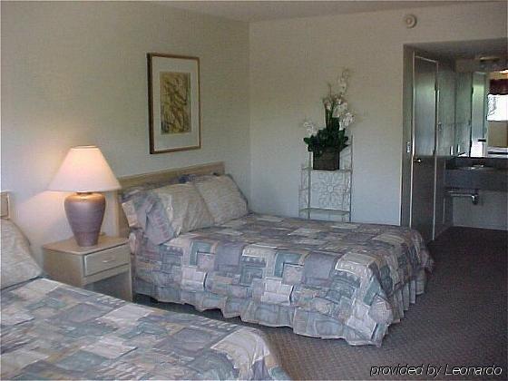 Thunderbird Boutique Hotel (Adults Only) Las Vegas Room photo